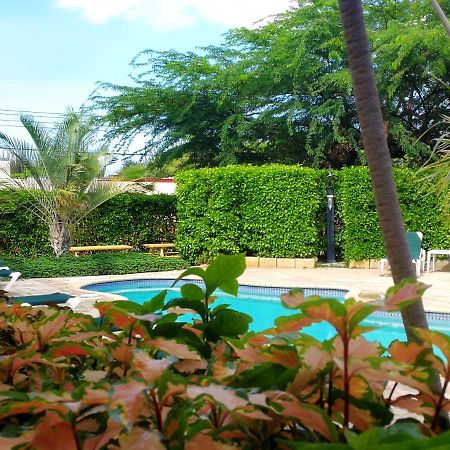 Agua Clara Eco Suites Oranjestad Exteriér fotografie