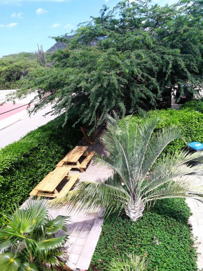 Agua Clara Eco Suites Oranjestad Exteriér fotografie