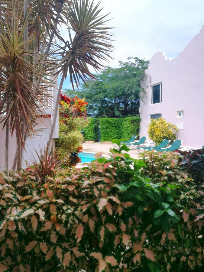 Agua Clara Eco Suites Oranjestad Exteriér fotografie